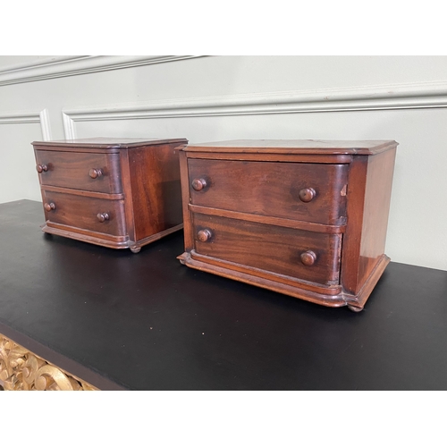 635 - Pair of Edwardian mahogany counter top cabinets with two short drawers {21 cm H x 30 cm W x 21 cm D}... 