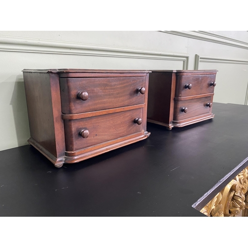 635 - Pair of Edwardian mahogany counter top cabinets with two short drawers {21 cm H x 30 cm W x 21 cm D}... 