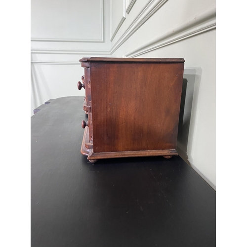 635 - Pair of Edwardian mahogany counter top cabinets with two short drawers {21 cm H x 30 cm W x 21 cm D}... 