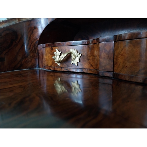 647 - Exceptional quality 19th C. French burr walnut and kingwood ladies desk with gilded bronze mounts an... 