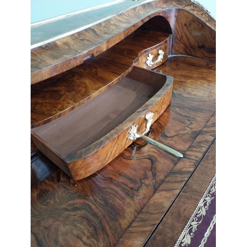 647 - Exceptional quality 19th C. French burr walnut and kingwood ladies desk with gilded bronze mounts an... 