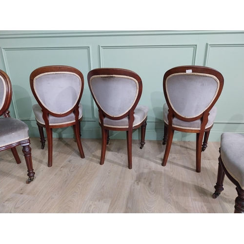 676 - Set of five Victorian mahogany and upholstered dining chairs raised on turned legs and brass castors... 