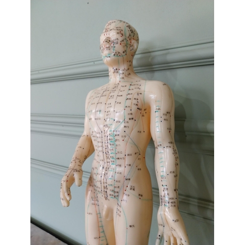 717 - Vintage Ruberoid Acupuncture dummy mounted on pine plinth {50 cm H x 20 cm W x 15 cm D}.