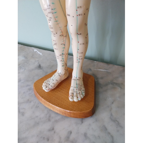 717 - Vintage Ruberoid Acupuncture dummy mounted on pine plinth {50 cm H x 20 cm W x 15 cm D}.