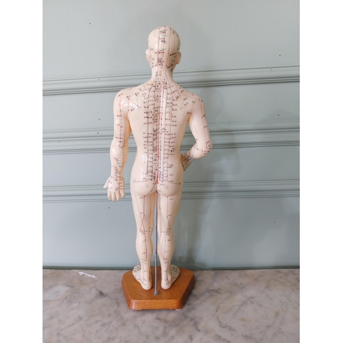 717 - Vintage Ruberoid Acupuncture dummy mounted on pine plinth {50 cm H x 20 cm W x 15 cm D}.