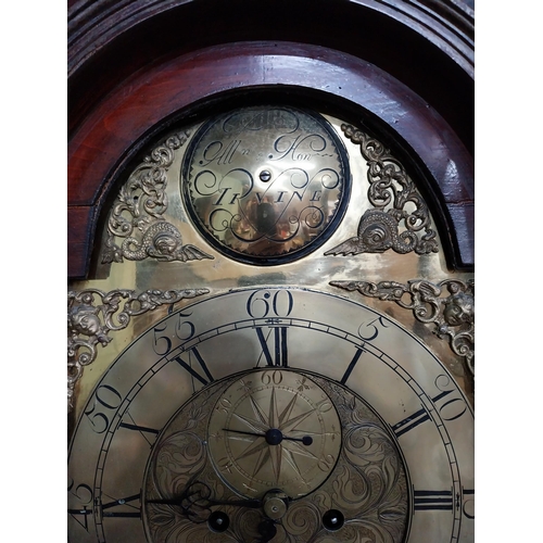 741 - Georgian mahogany swan neck Grandfather clock with engraved brass dial by Irvine {230 cm H x 50 cm W... 