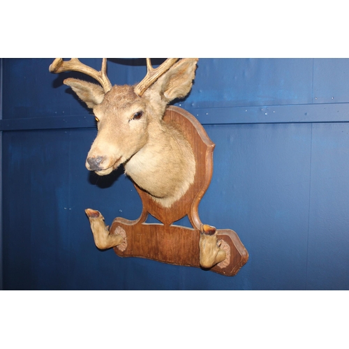 751 - Taxidermy stags head mounted on carved wooden plaque with coat and hat rack {H 67cm x W 20cm x D 60c... 