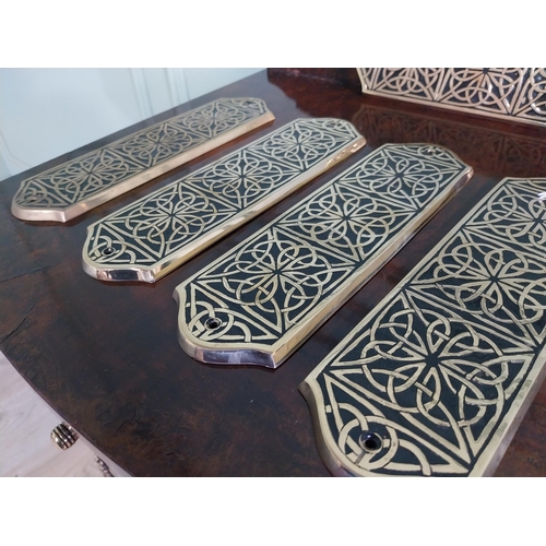 806 - Set of six good quality brass door plates made by Liffey Artefacts {24 cm H x 7 cm W}.