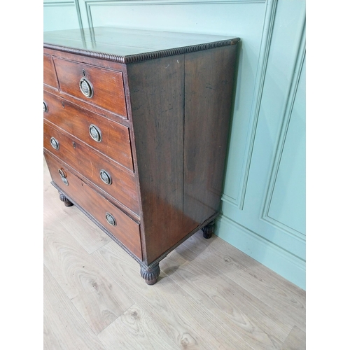 89 - 19th C. mahogany chest of drawers with two short drawers over three long graduated drawers raised on... 