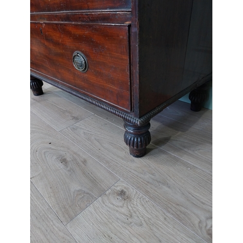 89 - 19th C. mahogany chest of drawers with two short drawers over three long graduated drawers raised on... 