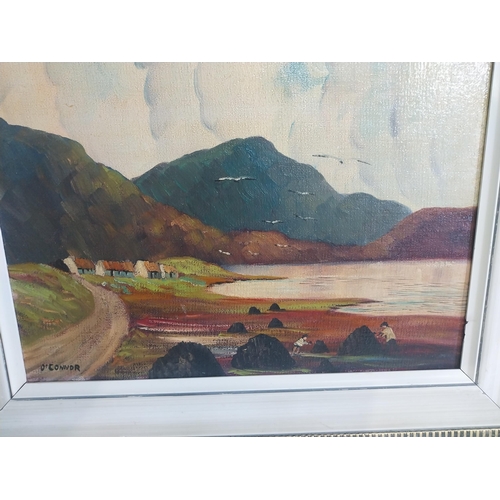 895 - West of Ireland scene oil on board signed O'Connor {44 cm H x 54 cm W}.