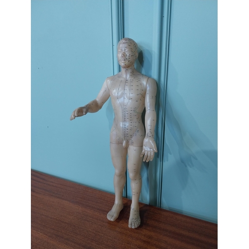 2038 - Rare Chinese acupuncture medical dummy { 52cm H X 20cm W X 15cm D }