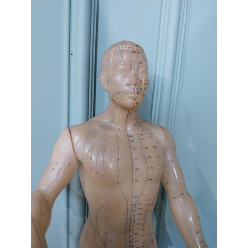 2038 - Rare Chinese acupuncture medical dummy { 52cm H X 20cm W X 15cm D }