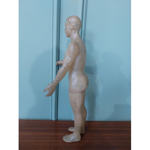 2038 - Rare Chinese acupuncture medical dummy { 52cm H X 20cm W X 15cm D }