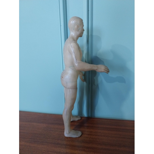 2038 - Rare Chinese acupuncture medical dummy { 52cm H X 20cm W X 15cm D }