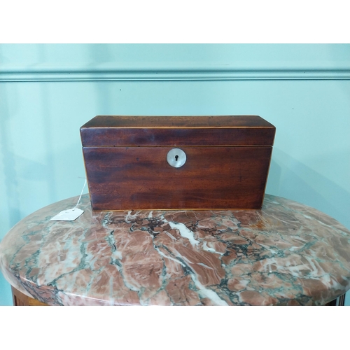 2042 - 19th C. mahogany and satinwood tea caddy with lion's mask handles. {16 cm H x 31 cm W X 16 cm D}.