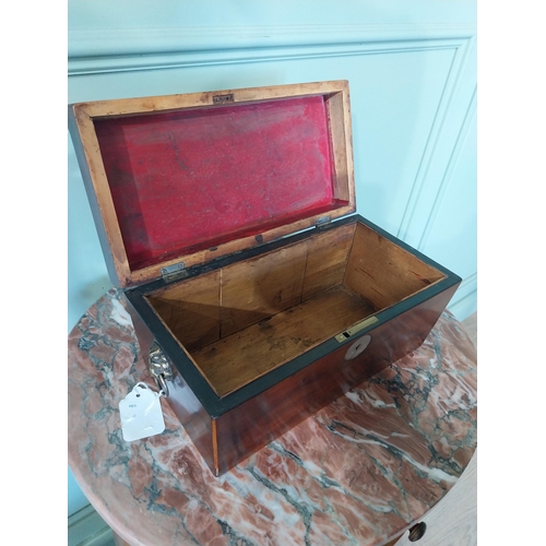 2042 - 19th C. mahogany and satinwood tea caddy with lion's mask handles. {16 cm H x 31 cm W X 16 cm D}.