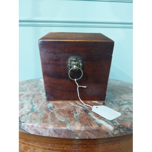 2042 - 19th C. mahogany and satinwood tea caddy with lion's mask handles. {16 cm H x 31 cm W X 16 cm D}.