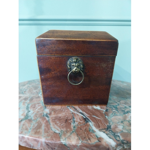 2042 - 19th C. mahogany and satinwood tea caddy with lion's mask handles. {16 cm H x 31 cm W X 16 cm D}.