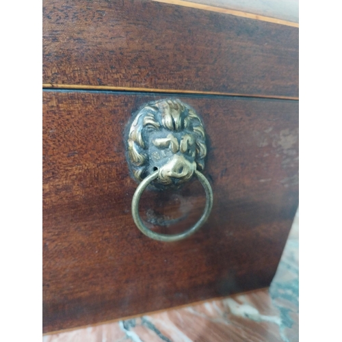 2042 - 19th C. mahogany and satinwood tea caddy with lion's mask handles. {16 cm H x 31 cm W X 16 cm D}.