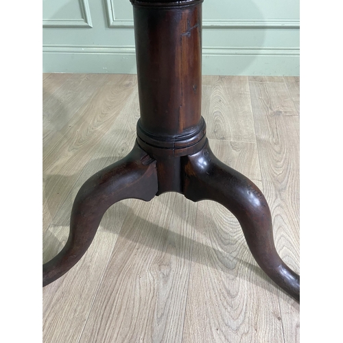 1117 - Irish Georgian mahogany tilt top super table raised on bird cage and gun barrel column and three out... 