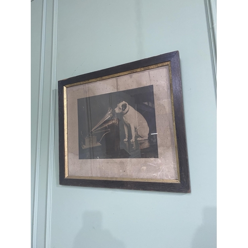 1307 - Rare original Edwardian His Masters Voice black and white print mounted in original oak frame {63 cm... 