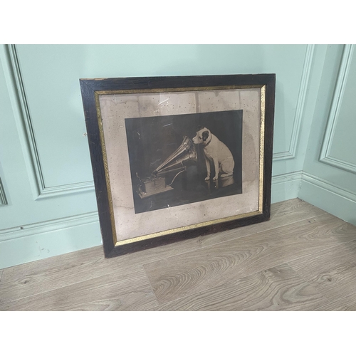 1307 - Rare original Edwardian His Masters Voice black and white print mounted in original oak frame {63 cm... 