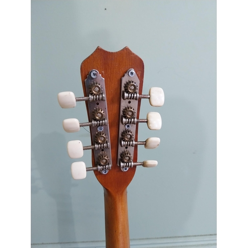 2062 - Eight string box mandolin {63 cm H x 26 cm W x 10 cm D}.