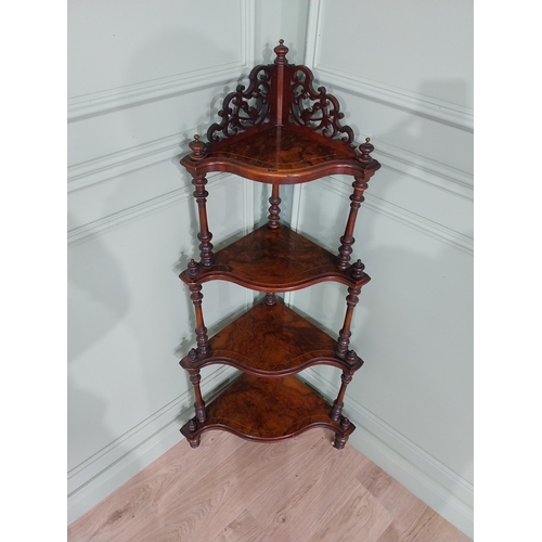 431 - 19th C. burr walnut corner whatnot on turned columns. {138 cm H x 65 cm W x 40 cm D}.