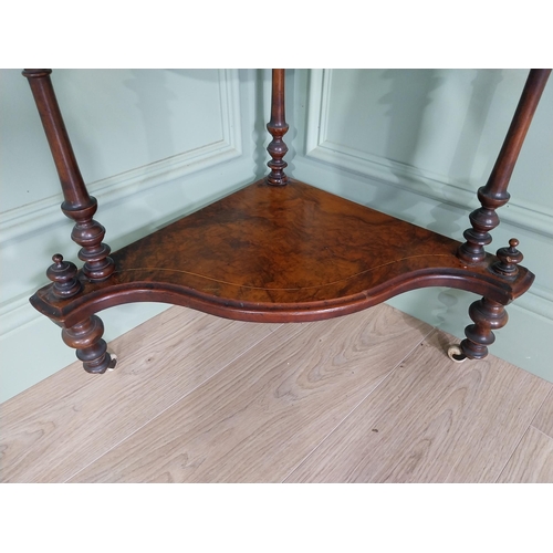 431 - 19th C. burr walnut corner whatnot on turned columns. {138 cm H x 65 cm W x 40 cm D}.