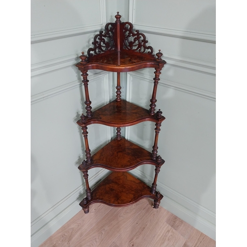 431 - 19th C. burr walnut corner whatnot on turned columns. {138 cm H x 65 cm W x 40 cm D}.