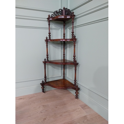 431 - 19th C. burr walnut corner whatnot on turned columns. {138 cm H x 65 cm W x 40 cm D}.