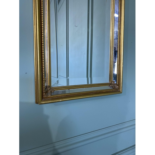 513 - Gilt pier mirror in the Victorian style {99 cm H x 30 cm W}.