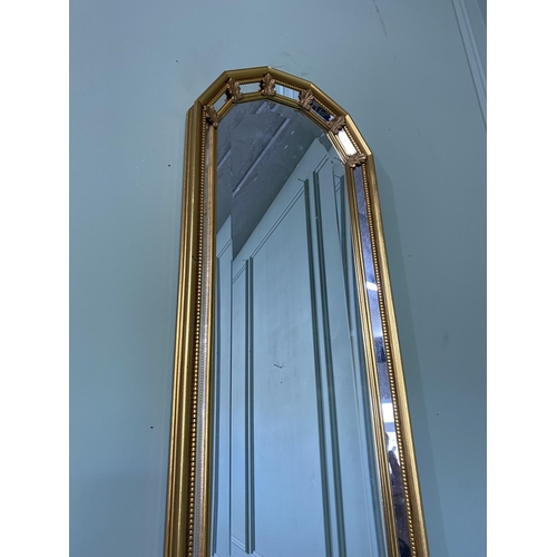 513 - Gilt pier mirror in the Victorian style {99 cm H x 30 cm W}.