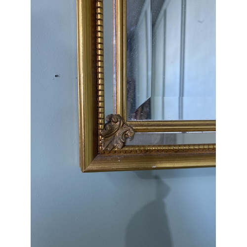 513 - Gilt pier mirror in the Victorian style {99 cm H x 30 cm W}.