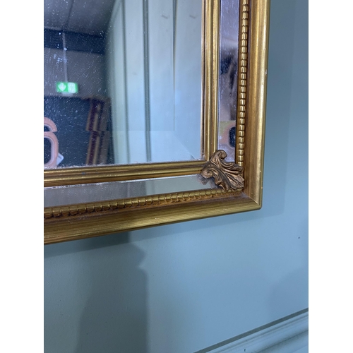 513 - Gilt pier mirror in the Victorian style {99 cm H x 30 cm W}.