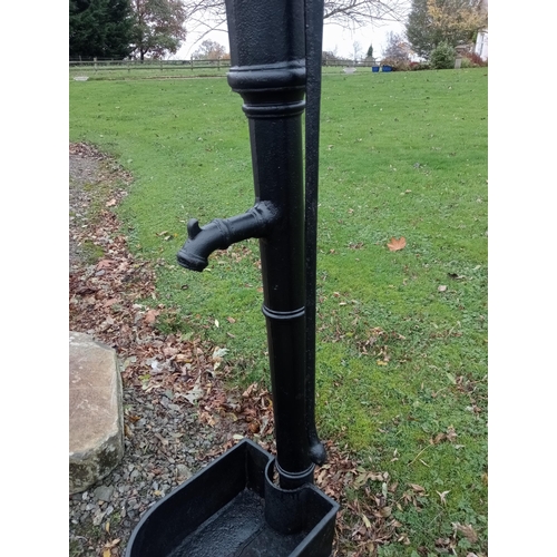 861 - Large antique cast iron water pump with cast iron trough {H 180cm x W 24cm x D 50cm }.