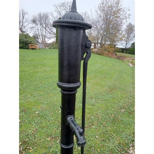 861 - Large antique cast iron water pump with cast iron trough {H 180cm x W 24cm x D 50cm }.