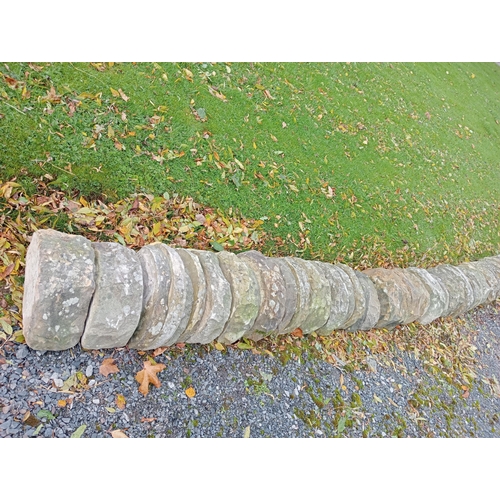 885 - Collection of forty Yorkshire stone wall copings{W 450cm x H 24cm x D 38cm }.