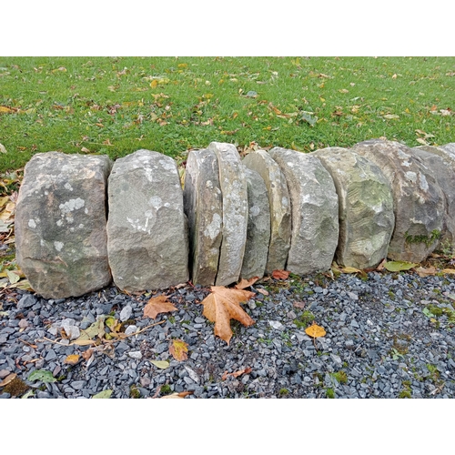 885 - Collection of forty Yorkshire stone wall copings{W 450cm x H 24cm x D 38cm }.