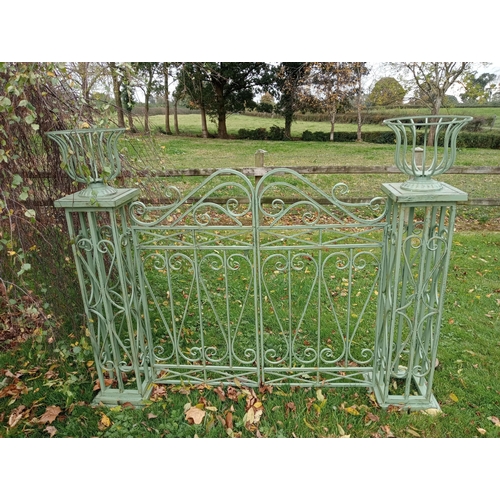 891 - Metal garden gate scroll design {H 49cm x W 51cm x}.