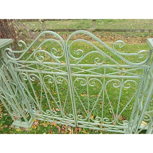 891 - Metal garden gate scroll design {H 49cm x W 51cm x}.