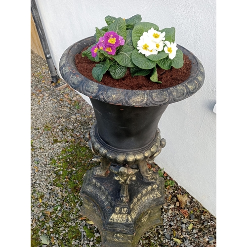 895 - Pair of cast iron planters - urns {H 110cm x W 46cm x D 46cm }.