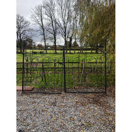 894 - Pair of 20th C. decorative wrought iron gates {186 cm H x 278 cm W}.