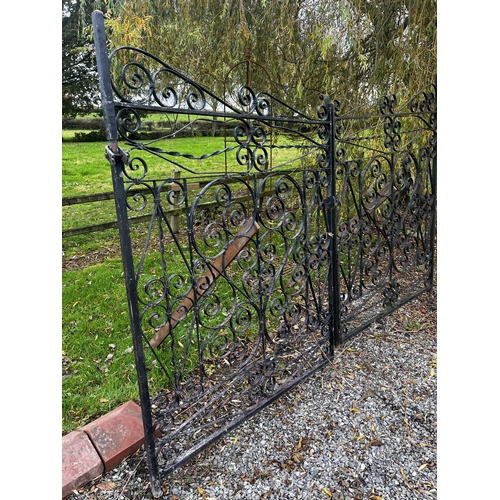 894 - Pair of 20th C. decorative wrought iron gates {186 cm H x 278 cm W}.