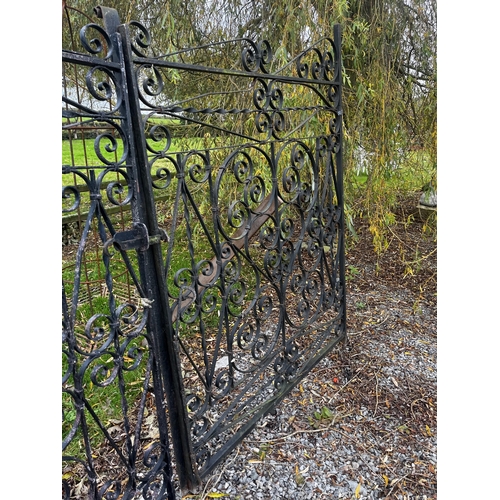 894 - Pair of 20th C. decorative wrought iron gates {186 cm H x 278 cm W}.