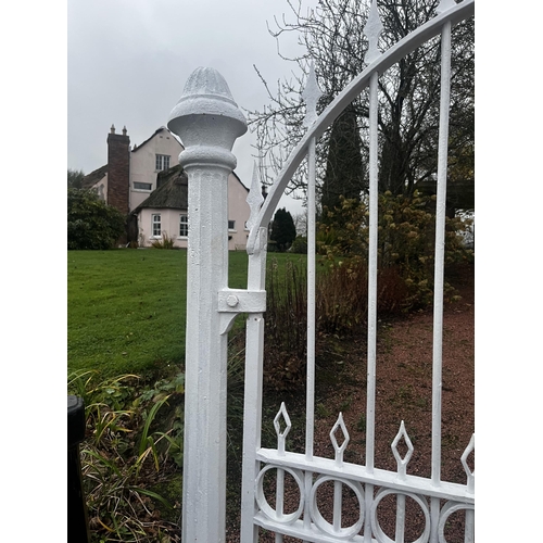 904 - Good quality 19th C. wrought iron garden gate with cast iron posts {200 cm H x 140 cm W}.