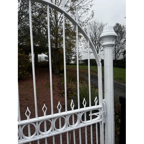 904 - Good quality 19th C. wrought iron garden gate with cast iron posts {200 cm H x 140 cm W}.