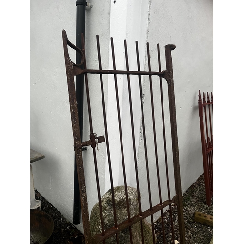 914 - Tall 19th C. wrought iron garden gate {180 cm H x 68 cm W}.