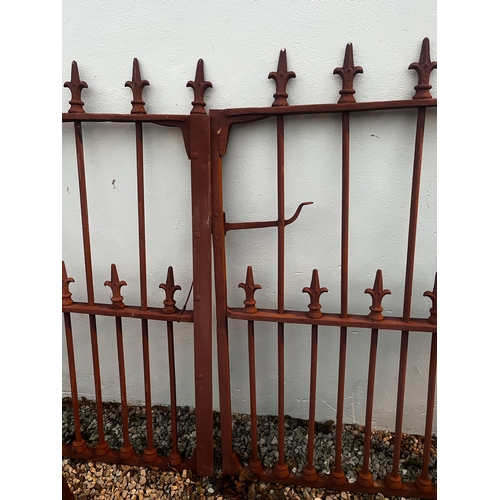 920 - Pair of Victorian cast iron gates {145 cm H x 275 cm W}.